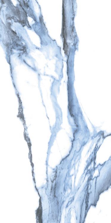 Calacatta Blue Polished 12 x 24